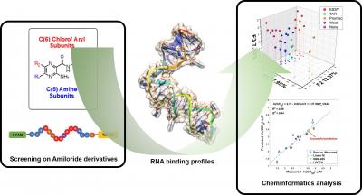 Diagram of RNA binding profiles